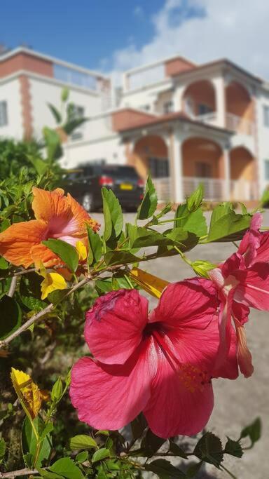 St. George'S Holiday Studio Vacation Of A Lifetime Fontenoy Esterno foto