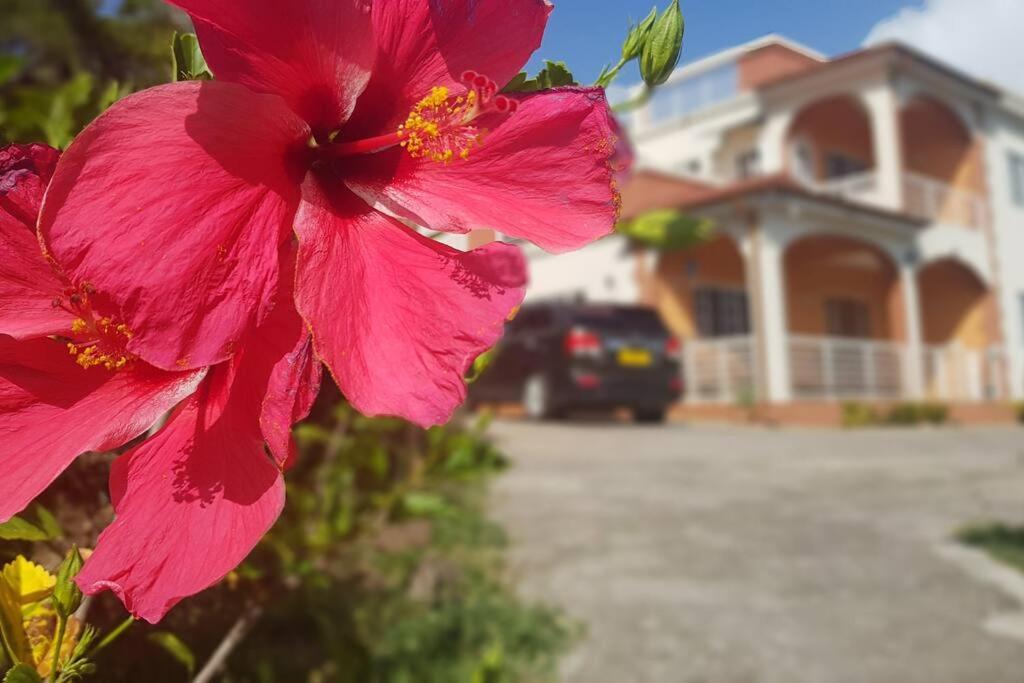 St. George'S Holiday Studio Vacation Of A Lifetime Fontenoy Esterno foto
